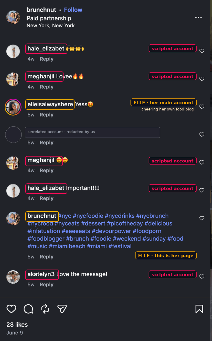 The comment section of a brunchnut post tagged 'Paid partnership' in New York, New York, annotated. Comments from hale_elizabet, meghanjil, hale_elizabet again, meghanjil again and akatelyn3 are each flagged 'scripted account'. A comment from elleisalwayshere is flagged 'ELLE, her main account, cheering her own food blog', and brunchnut's own hashtag comment is flagged 'ELLE, this is her page'. One unrelated account is redacted. The post has 23 likes.